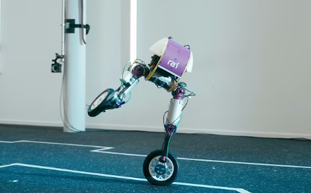 Roadrunner robot: take that Boston dynamics